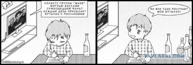 Muse-подробности