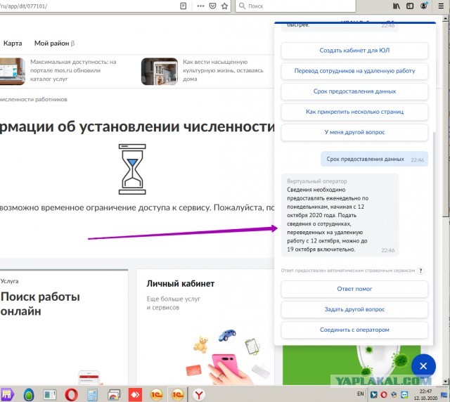 В мэрии обвинили работодателей в "обрушении" сервиса по предоставлению данных о работниках на удалёнке