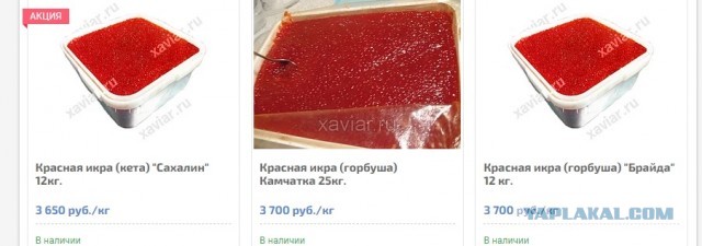 Цена на икру на Камчатке 2020. Перед Новым годом