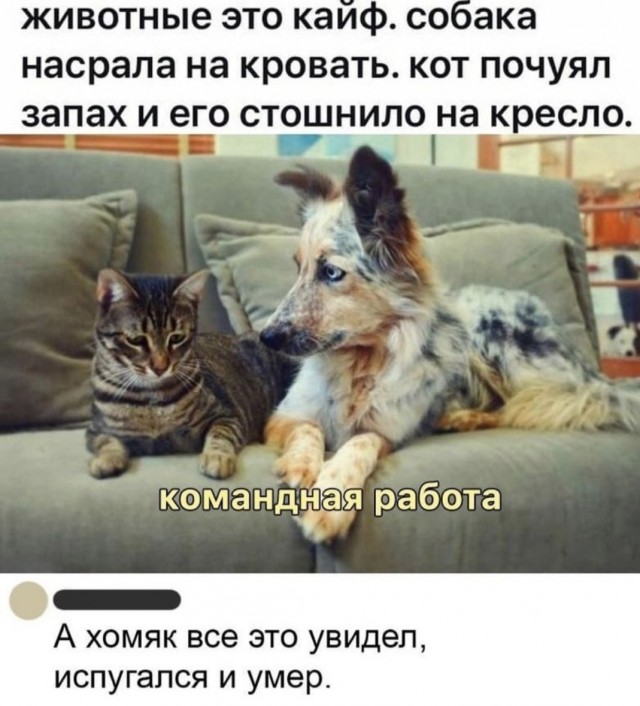 Бредзона 08.06.21
