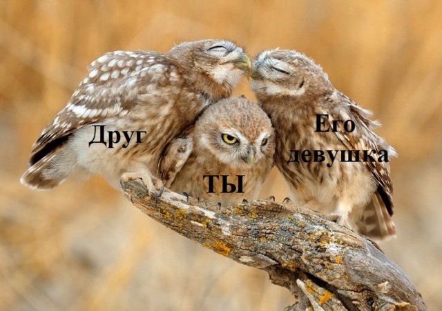 Так себе картинки 28.11.21