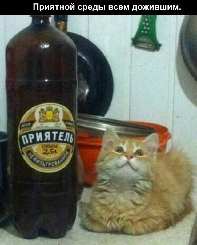 Немного мемчиков. Для взрослых 18+. Часть 12