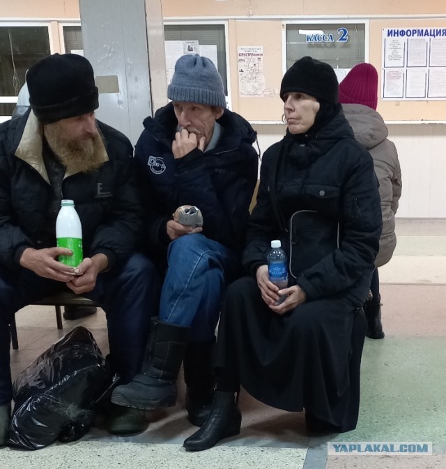 Пандемия съехавших крыш - разновидности болезни. Россия и мир. Часть 45.