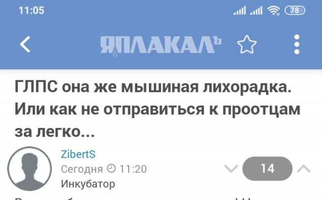 ГЛПС она же мышиная лихорадка. Или как не отправиться к проотцам за легко