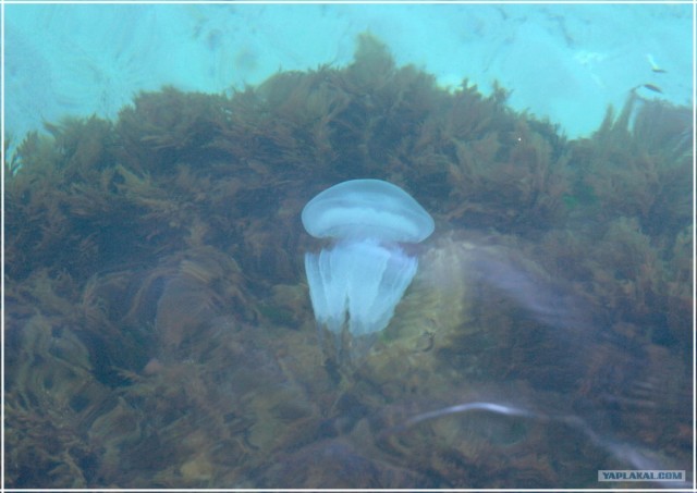 Крым. Фиолент. Маяк.