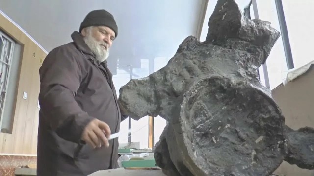 Волгатитан: Останки титанического ящера нашли прямо на берегу Волги. Что это за русский динозавр?