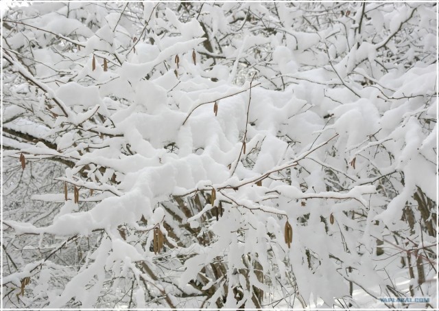 Крым. Терновка. Зимние дороги.
