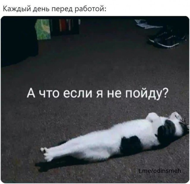 Картинки и мемы для настроения - 133