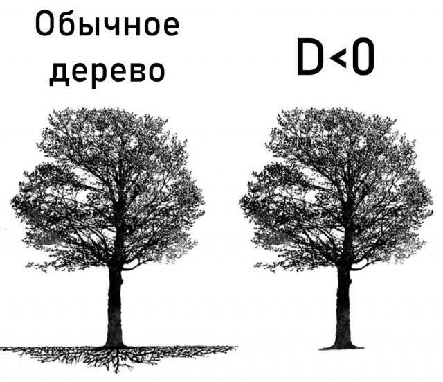 Немного картинок для настроения - 131