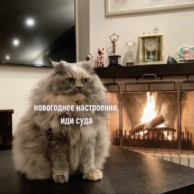 Большинство россиян пожаловались на отсутствие новогоднего настроения