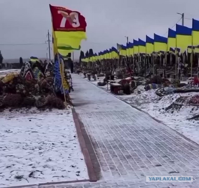 Такие дела.