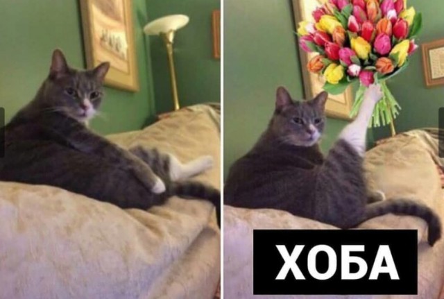 Конкурс на самую открытку с 8 марта.