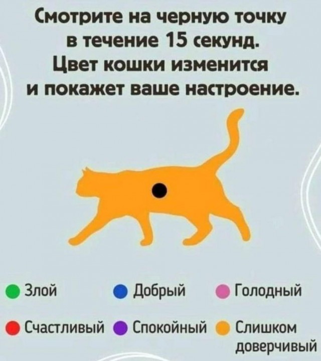 Картинки и мемы, это май-чародей всяко разно - 177