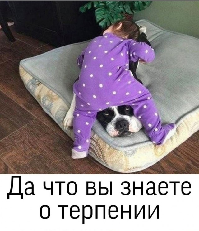 Так себе картинки 17.06.23