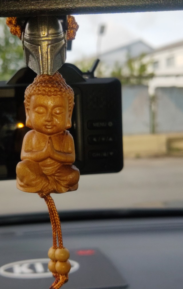 Жена разводит свинарник