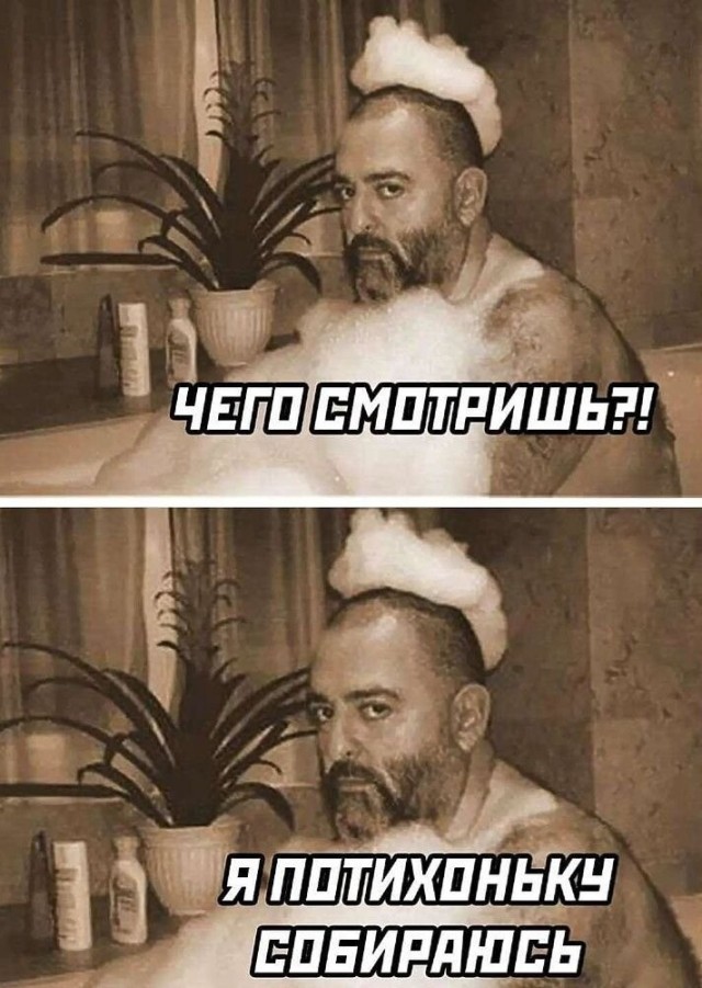 Ожил родительский чат ...
