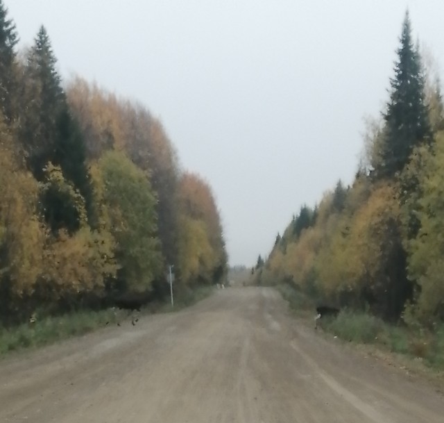 Хозяйство у жениха маленькое, жену не найдет!
