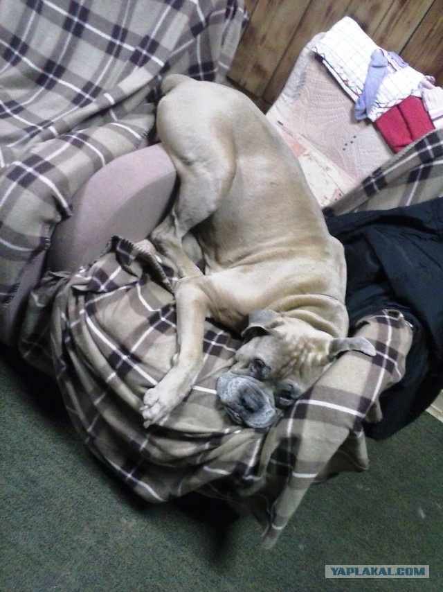 Почистил телефон