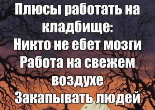 Всего понемногу. От 29.01.24