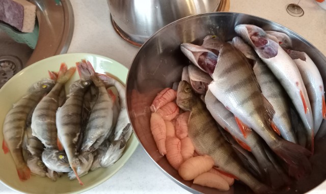 Зимняя рыбалка