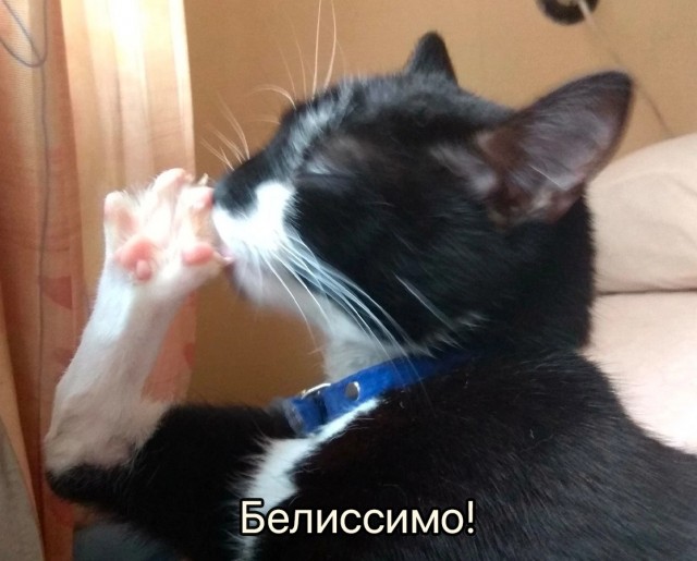 Встречайте нового рабовладелеца