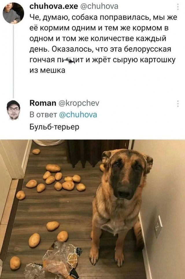 Завалялось тут случайно немного забавных картинок