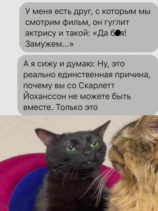 Так себе картинки 27.05.24