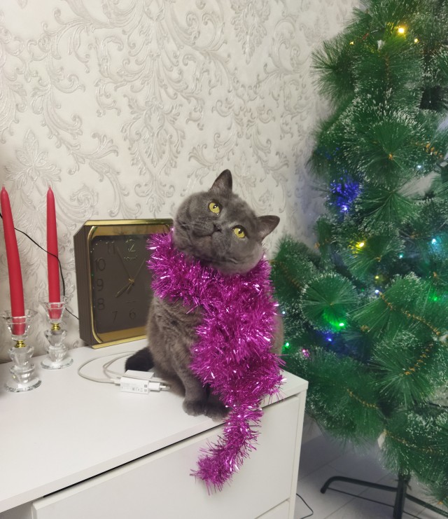 Вот и я попал. Дружба или любовь, поглядим
