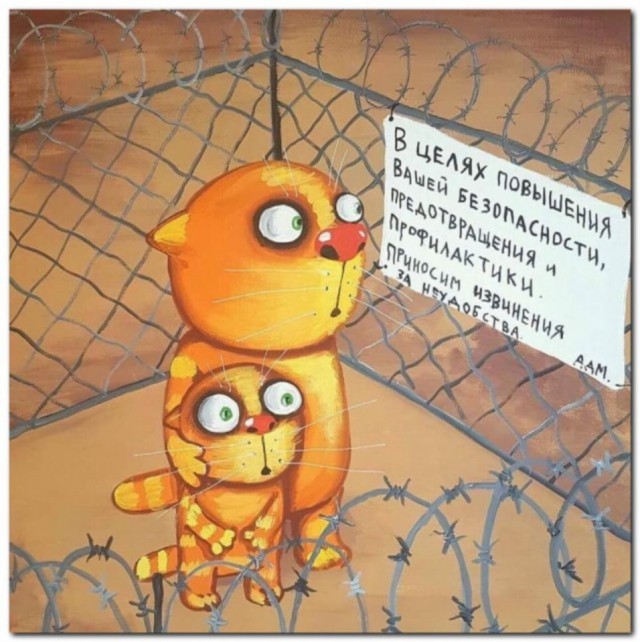 «Небольшое ограничение свобод и прав, но это обезопасит наших граждан»