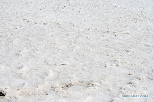 Баскунчак: Мертвое море по-русски (30 фото)