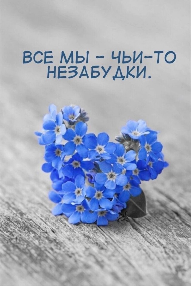 Прикольные и просто красивые картинки 01.08.2025