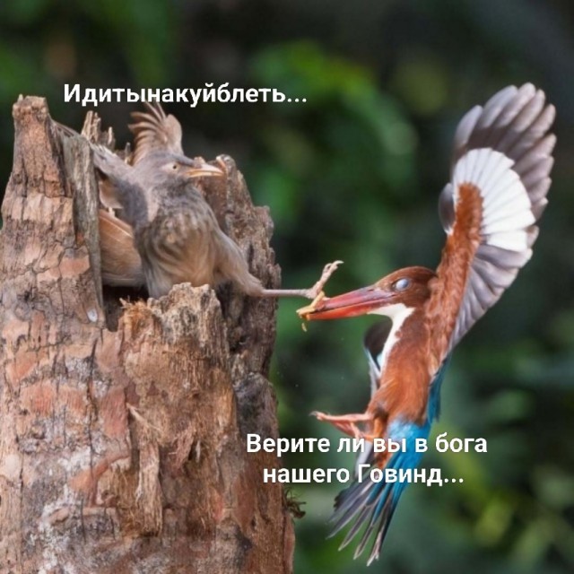 Вот и картинки разные...