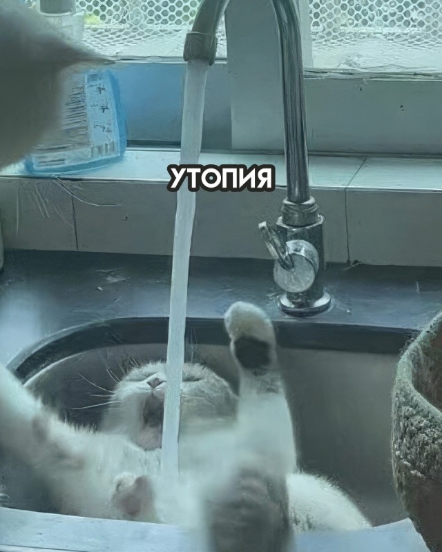 Так себе картинки 29.11.25
