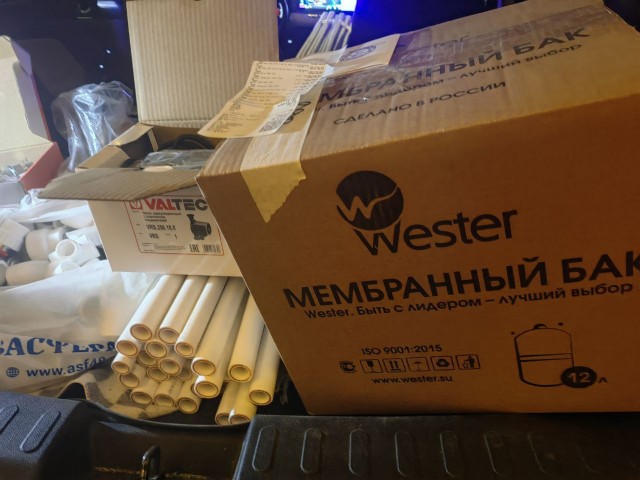 Жизнь домашнего приюта "Котоленд" 523