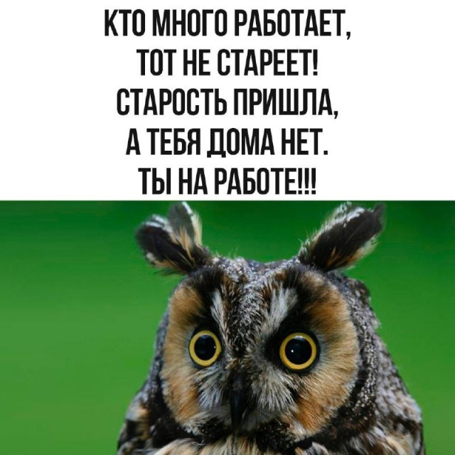 Смех да и только