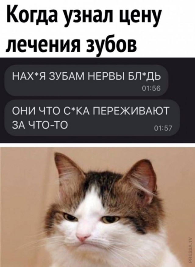 Веселые картинки в маленькую пятницу(25.03)