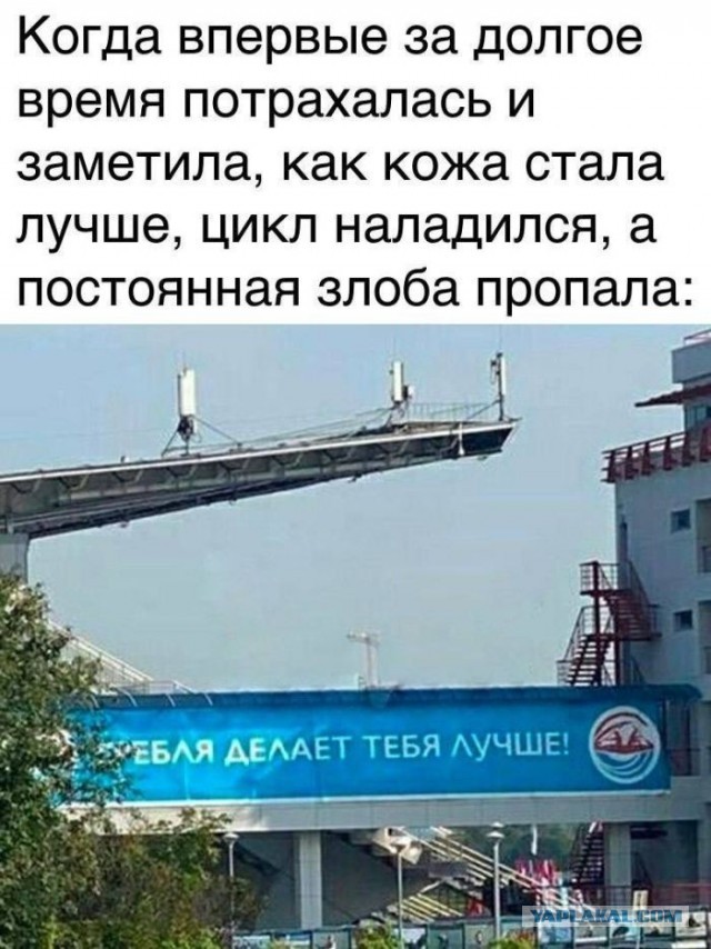 Забавные и не очень скромные картинки - 30