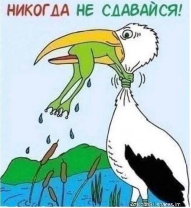 Приятного аппетита и с добрым утром.