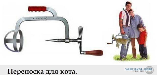 Ты кто?! Я волк