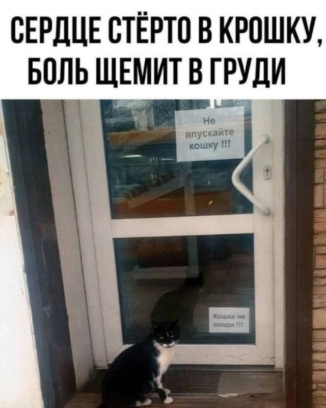 Немного картинок в четверг