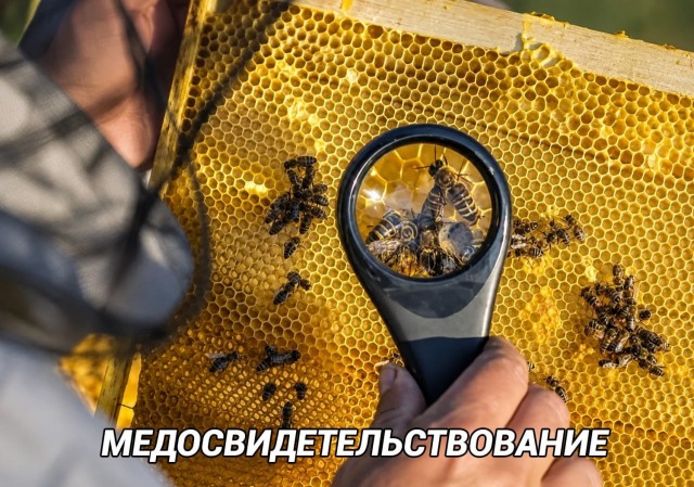 Картинки для деградации 260 (разной степени свежести)