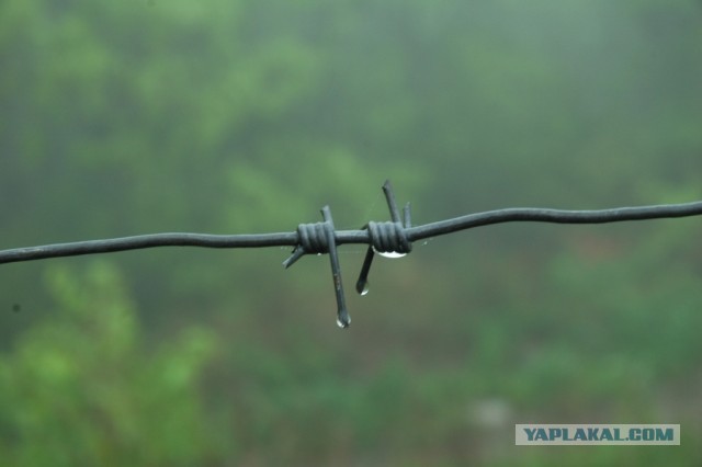 Малоизвестное Приморье.