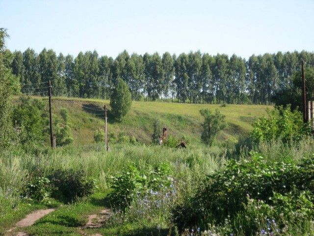 Поездка на Тамбовщину