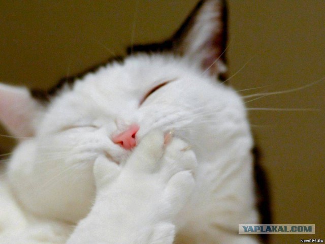 Что делать, как быть?..