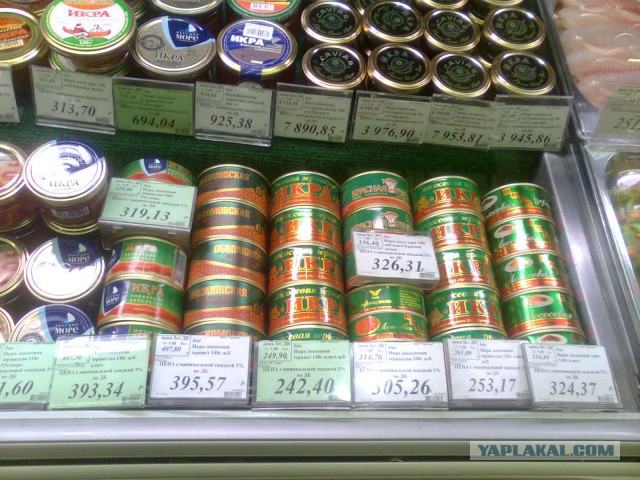 Ход лосося на Сахалине