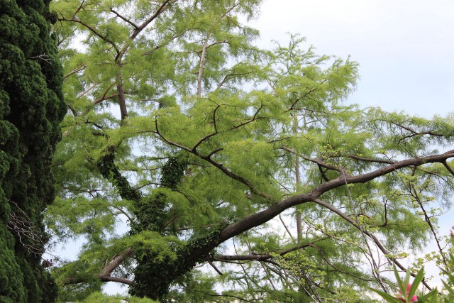 Отчёт о поездке в Крым 12.07 - 29.07