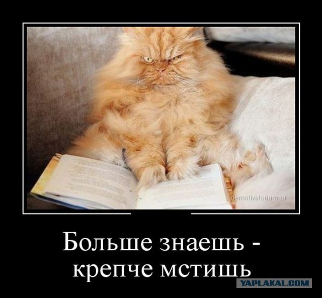 Демотиваторов пост, добавляйте свои