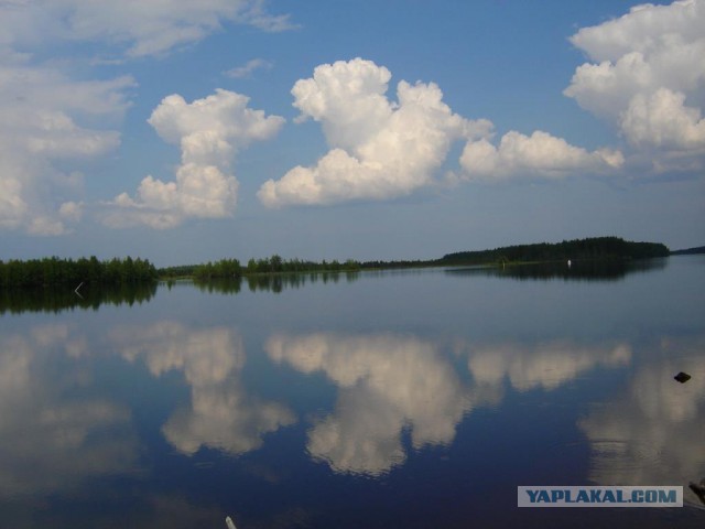 Белые мосты и разводные ночи