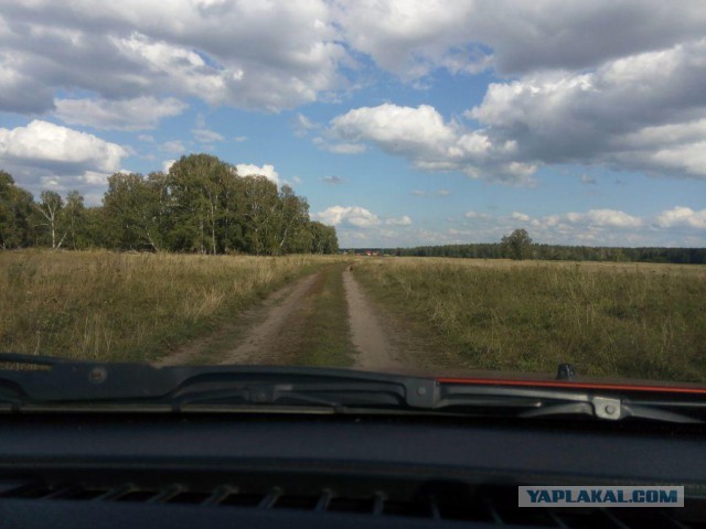 Как мы в лес ездили