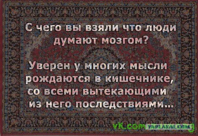 Картинки из сети.